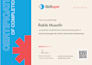 setup, manage and optimize google ads PPC, pmax campaign
